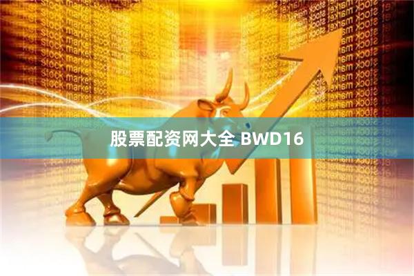 股票配资网大全 BWD16