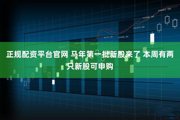 正规配资平台官网 马年第一批新股来了 本周有两只新股可申购